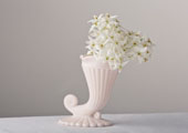 Vases - Jeanette Horn Vase